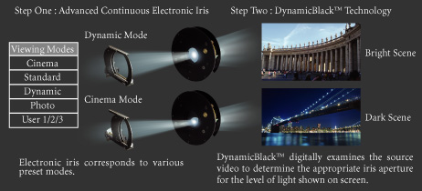 Dual Iris Technology