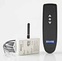 Radio Frequency Wireless Remote (98662)